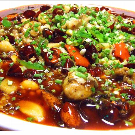紅火大鯰魚