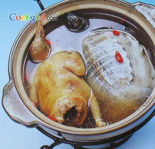 乳鴿煲甲魚