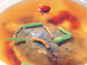 冬蟲夏草燉甲魚