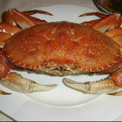 凍蟹