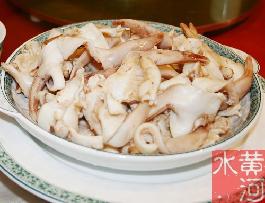白灼鳥(niǎo)貝