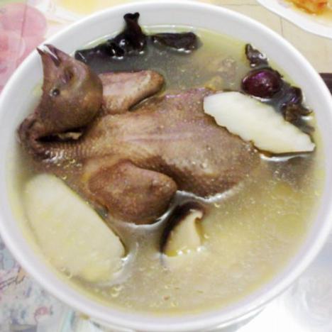 清燉鴿子湯