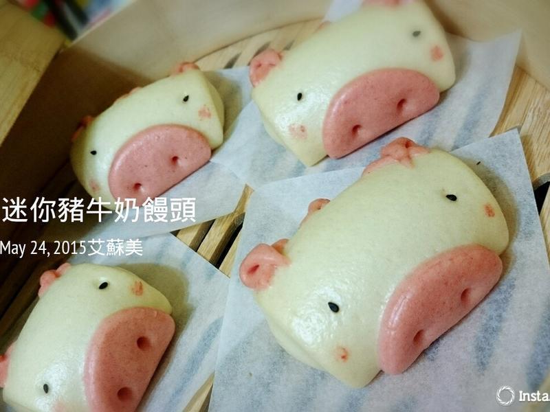 迷你豬牛奶饅頭