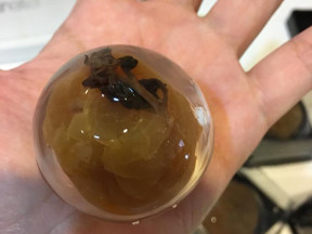 青梅水信玄餅