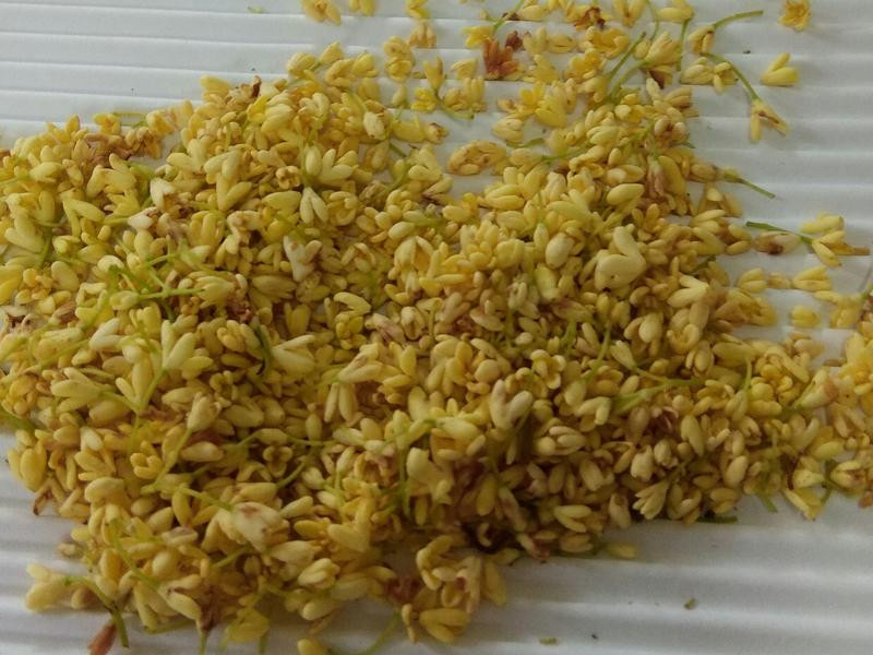 桂花釀