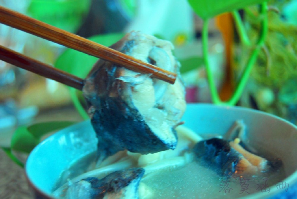 蓮藕鱘魚
