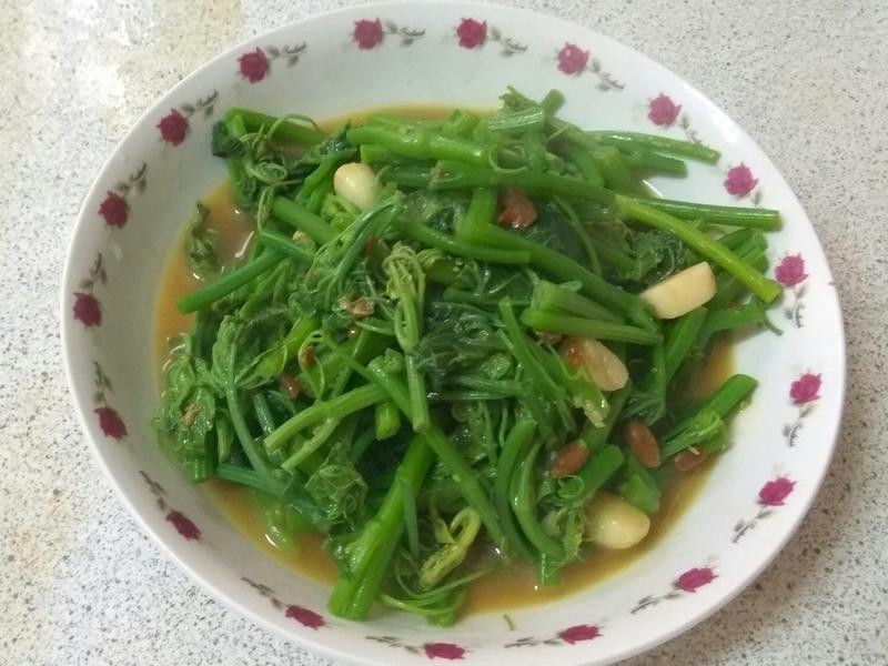 豆瓣龍須菜