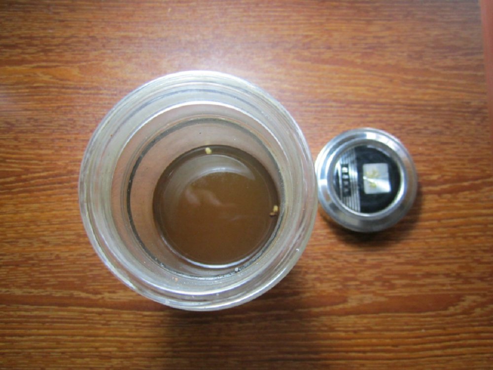 自制大麥茶