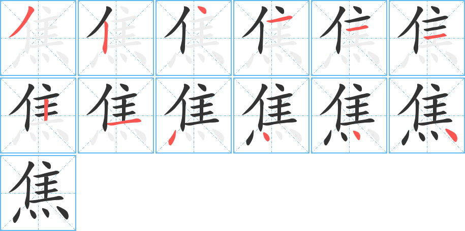 焦字的筆順分步演示
