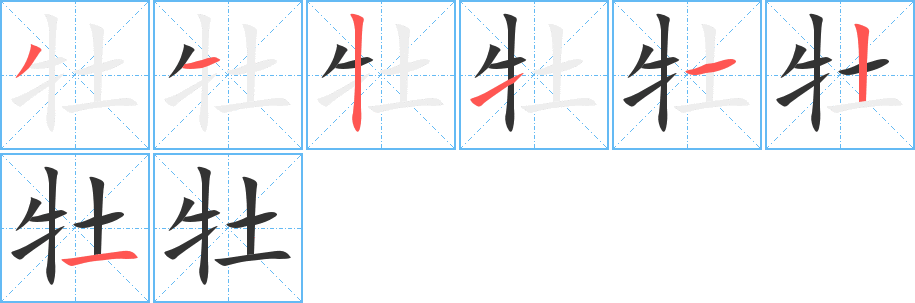 牡字的筆順分步演示