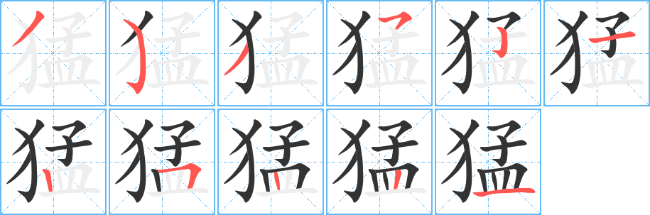 猛字的筆順分步演示