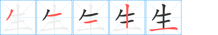 生字的筆順?lè)植窖菔?></p>
<h2>生的釋義：</h2>
<P>●生shēngㄕㄥˉ<br />◎一切可以發(fā)育的物體在一定條件下具有了最初的體積和重量，并能發(fā)展長(zhǎng)大：誕生。滋生。生長(zhǎng)。<br />◎造出：生產(chǎn)。<br />◎活的，有活力的：生存。生命。生物。生機(jī)。出生入死。舍生取義。<br />◎有生命的東西的簡(jiǎn)稱(chēng)：眾生。喪生。衛(wèi)生。<br />◎生活，維持生活的：生計(jì)。生意。<br />◎整個(gè)生活階段：一生。平生。今生。<br />◎發(fā)出，起動(dòng)：生病。生氣。生效。生花之筆。談笑風(fēng)生。<br />◎使燃料燃燒起來(lái)：生火。<br />◎植物果實(shí)不成熟：生瓜。<br />◎未經(jīng)燒煮或未燒煮熟的：生飯。生水。<br />◎不熟悉的，不常見(jiàn)的：生疏。生客。生字。陌生。<br />◎不熟練的：生手。<br />◎未經(jīng)煉制的。生鐵。<br />◎硬：態(tài)度生硬。生吞活剝。<br />◎甚，深：生怕。生疼。<br />◎正在學(xué)習(xí)的人：學(xué)生。門(mén)生。<br />◎有學(xué)問(wèn)或有專(zhuān)業(yè)知識(shí)的人：儒生。醫(yī)生。<br />◎傳統(tǒng)戲劇里扮演男子的角色：小生。老生。武生。<br />◎詞尾：好生休養(yǎng)。<br />◎姓。</P><br /><P><br />反義詞<br />shī師shú,shóu熟sĭ死zú,cù卒 </P><br /><P><br />英文翻譯<br />life,living,lifetime;birth</P><br />
<p>上一個(gè)：<a href='bs685.html'>石的筆順</a></p>
<p>下一個(gè)：<a href='bs683.html'>皮的筆順</a></p>
<h3>相關(guān)筆畫(huà)筆順</h3>
<p class=