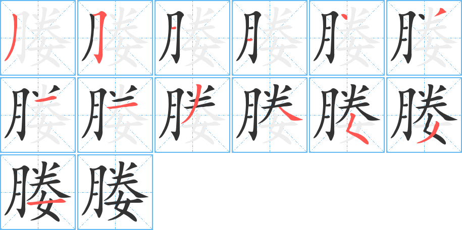 媵字的筆順分步演示