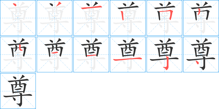 尊字的筆順分步演示
