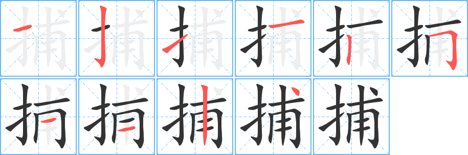 捕字的筆順分步演示