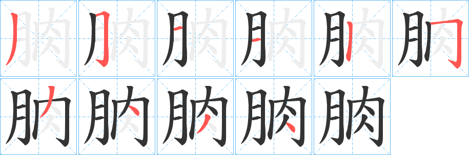 朒字的筆順分步演示