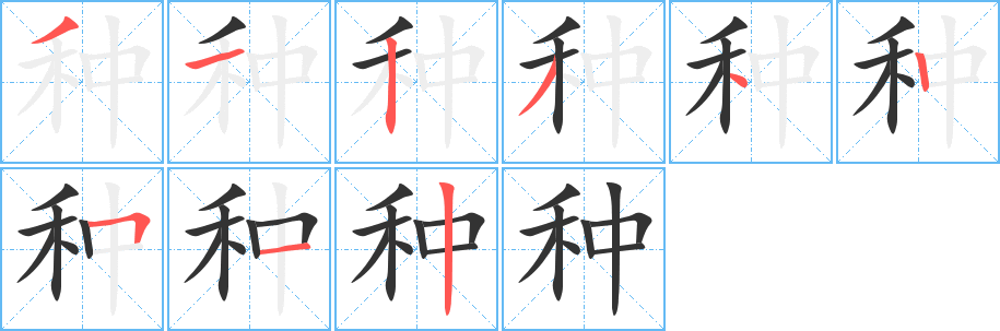種字的筆順分步演示