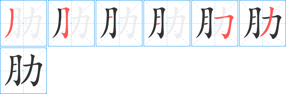 肋字的筆順?lè)植窖菔?></p>
<h2>肋的釋義：</h2>
肋lèiㄌㄟˋ<br />◎胸部的兩側(cè)：兩肋。肋骨。肋膜。<br />◎像肋骨的：肋木。<br />肋lēㄌㄜˉ<br />◎〔肋脦〕衣裳肥大，不整潔。<br />
<p>上一個(gè)：<a href='bs1246.html'>有的筆順</a></p>
<p>下一個(gè)：<a href='bs1244.html'>肌的筆順</a></p>
<h3>相關(guān)筆畫筆順</h3>
<p class=