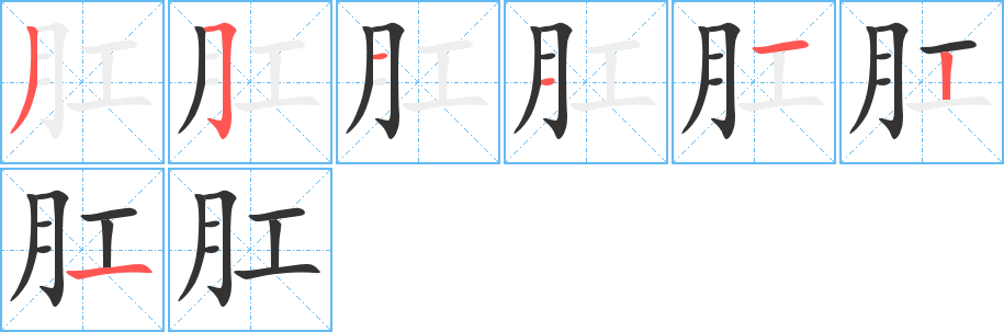 肛字的筆順分步演示