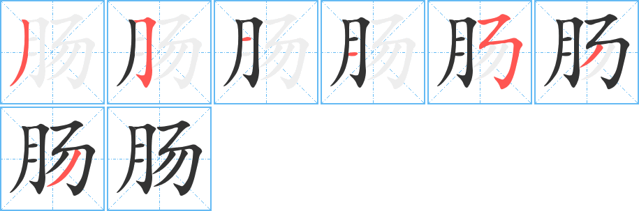 腸字的筆順分步演示