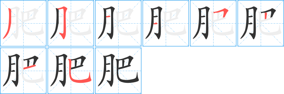 肥字的筆順分步演示