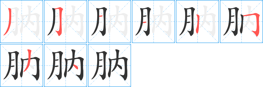 肭字的筆順分步演示