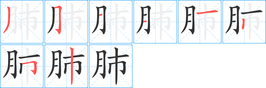 肺字的筆順分步演示