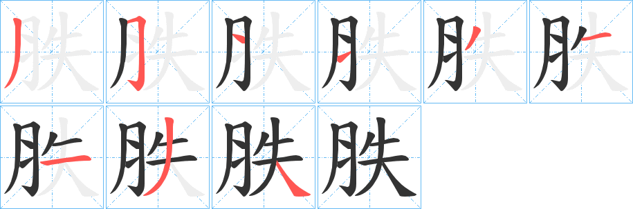 胅字的筆順分步演示