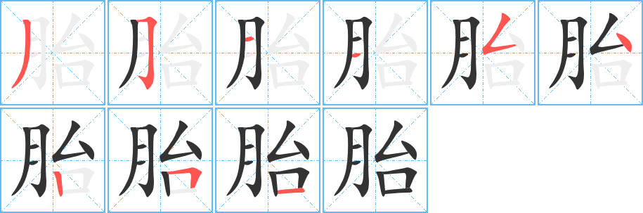 胎字的筆順分步演示