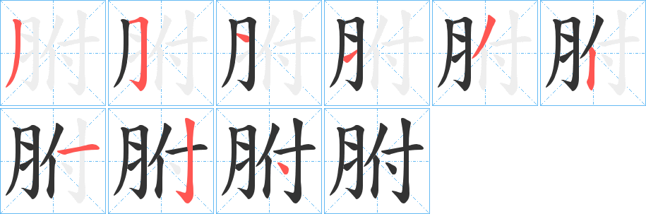 胕字的筆順分步演示