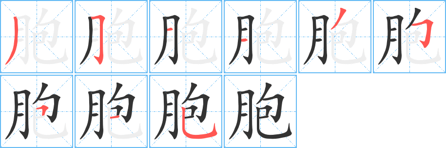 胞字的筆順分步演示