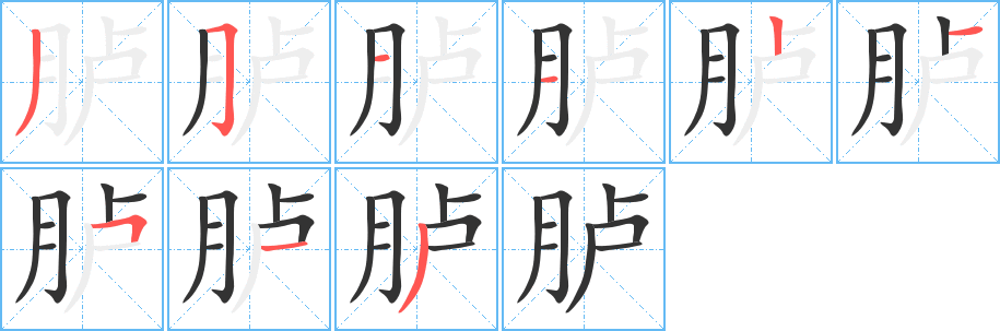 臚字的筆順分步演示