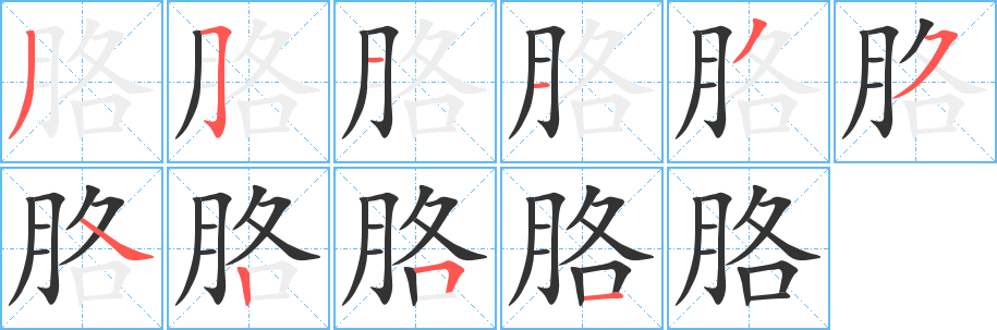 胳字的筆順分步演示