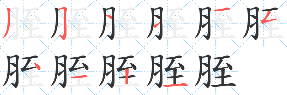 胵字的筆順分步演示