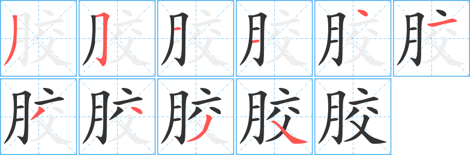 膠字的筆順分步演示