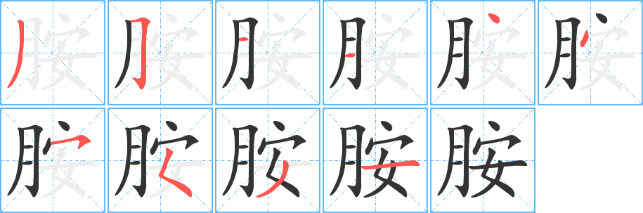 胺字的筆順分步演示