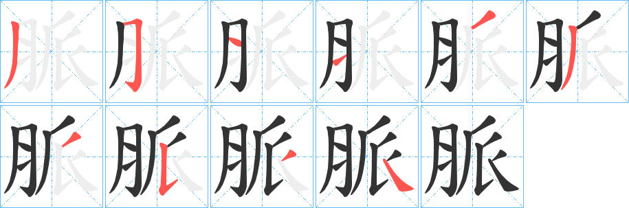 脈字的筆順分步演示