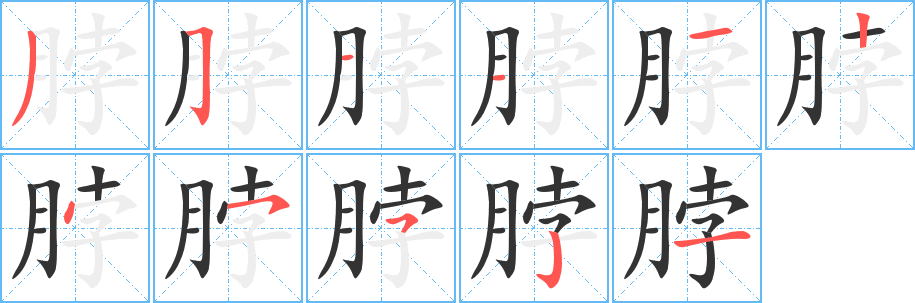 脖字的筆順?lè)植窖菔?></p>
<h2>脖的釋義：</h2>
脖<br />bó<br />頸，頭和軀干相連的部分：脖子。脖頸。脖梗兒。<br />像脖子的：腳脖子。<br />筆畫數(shù)：11；<br />部首：月；<br />筆順編號(hào)：35111245521<br />
<p>上一個(gè)：<a href='bs6348.html'>脭?shù)墓P順</a></p>
<p>下一個(gè)：<a href='bs6346.html'>曽的筆順</a></p>
<h3>相關(guān)筆畫筆順</h3>
<p class=