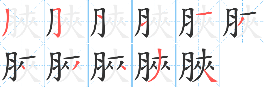 脥字的筆順分步演示