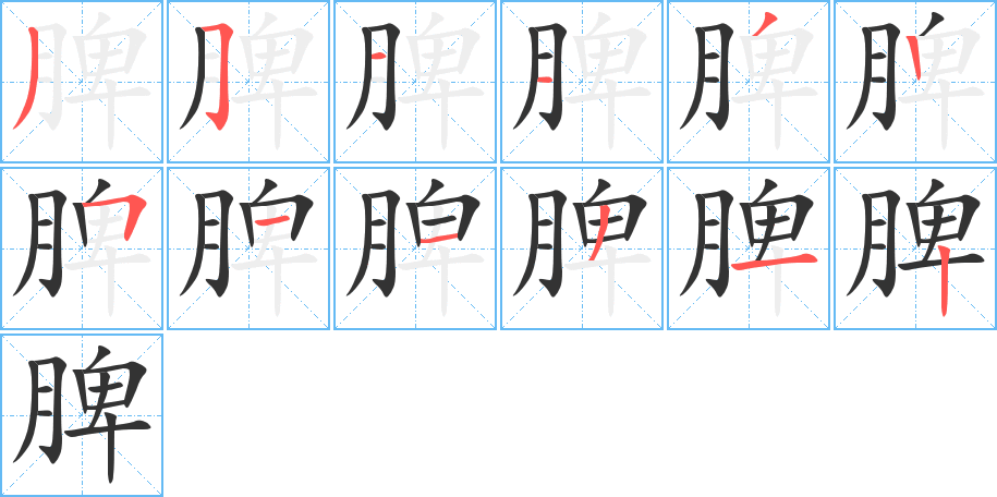 脾字的筆順分步演示