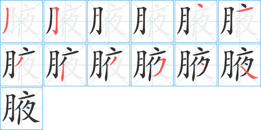 腋字的筆順分步演示
