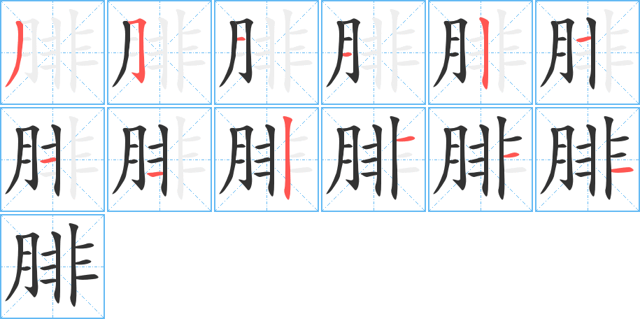 腓字的筆順分步演示