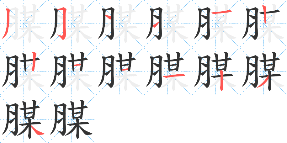 腜字的筆順分步演示