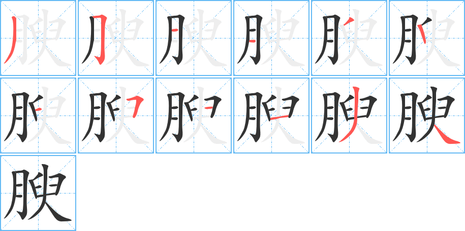 腴字的筆順分步演示