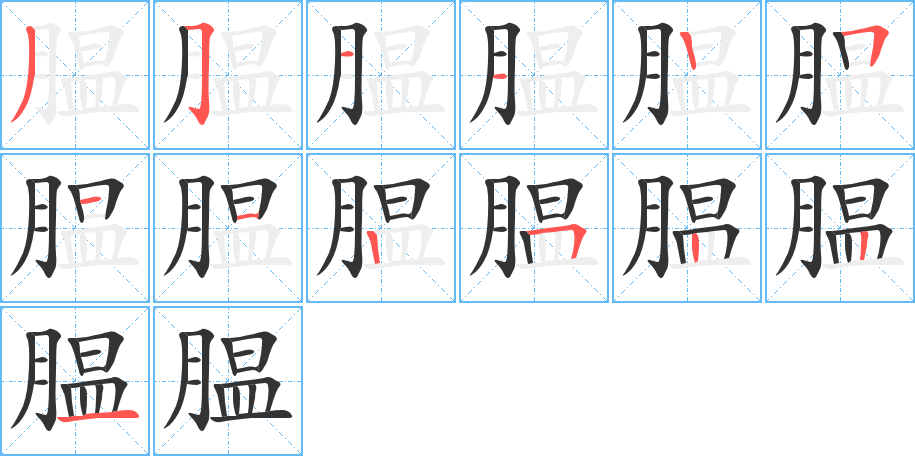 膃字的筆順分步演示