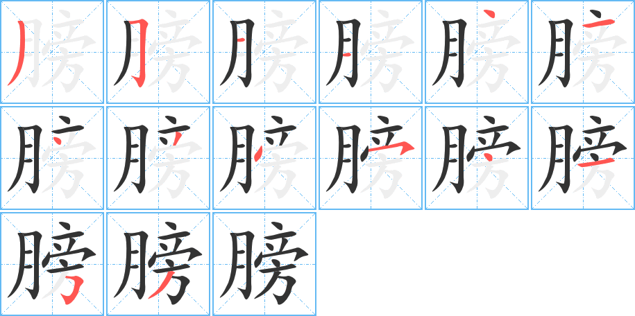 膀字的筆順分步演示