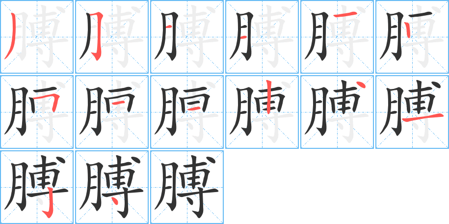 膊字的筆順分步演示