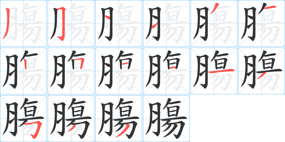 膓字的筆順分步演示