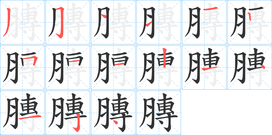 膞字的筆順分步演示