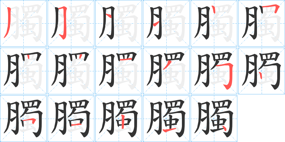 臅字的筆順?lè)植窖菔?></p>
<h2>臅的釋義：</h2>
臅<br />chù<br />胸腔里的脂肪：“小切狼臅膏，以與稻米為酏。”<br />筆畫數(shù)：17；<br />部首：月；<br />筆順編號(hào)：35112522135251214<br />
<p>上一個(gè)：<a href='bs17088.html'>臒的筆順</a></p>
<p>下一個(gè)：<a href='bs17086.html'>臄?shù)墓P順</a></p>
<h3>相關(guān)筆畫筆順</h3>
<p class=